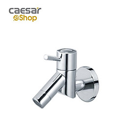 Mua Vòi Lạnh Gắn Tường - W047C