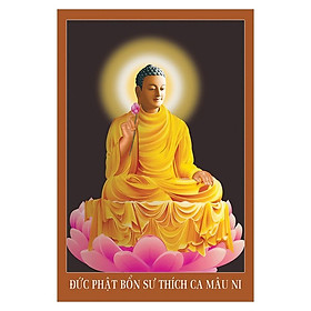 Tranh Phật Giáo Thích Ca Mâu Ni Phật 2489