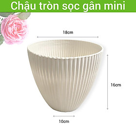 Chậu nhựa trồng cây để bàn, ban công tròn sọc gân