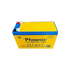 Bình Ắc Quy Khô PHOENIX TS1290 12V - 9AH Dùng Cho UPS, Loa Kéo, Bình Phun Thuốc Sâu, Cửa Cuốn