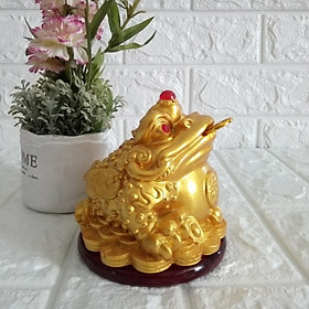 Tượng Cóc ba chân ngậm tiền vàng chiêu giữ tài lộc TTV16