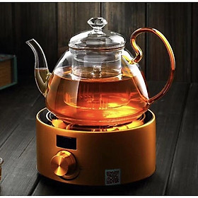 Mua Ấm thuỷ tinh lõi lọc quai đỏ 1000ml
