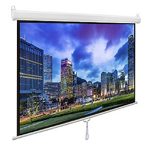 Mua MÀN CHIẾU TREO TƯỜNG KÉO TAY TỰ CUỐN 120 INCH - 84X84 - PL84WS DALITE - HÀNG CHÍNH HÃNG
