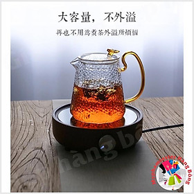 Ấm pha trà lọc thuỷ tinh 500ml