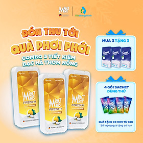 Combo 3 Kẹo Không Đường Bạc Hà IMPACT MINTS FRESH 10g Tặng kèm 3 gói khăn