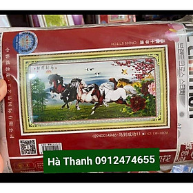 Mua (Chưa Thêu) Tranh Thêu Mã Đáo Thành Công A946