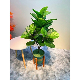 Mua Cây bàng Singapore giả giống thật 99% - 3 nhánh - Cao 100 cm – Cây giả  hoa lụa decor trang trí rẻ  bền  đẹp