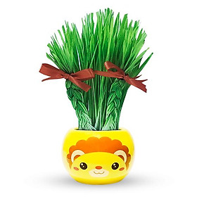 Africa animals Chậu cây trồng Agrioly Grass Kit - hình SƯ TỬ và hạt giống tiêu chuẩn của Úc.
