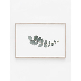 Tranh treo tường | Tranh cây lá nhiệt đới - Eucalyptus Print, Horizontal Wall Art, Botanical Print
