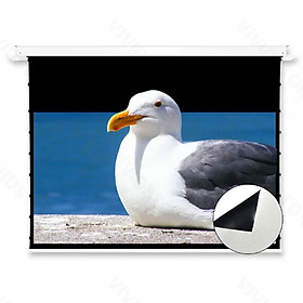 Mua Màn chiếu âm trần VIVIDSTORM VPCLW100H 100 Inch (16:9) hàng chính hãng - ZAMACO AUDIO