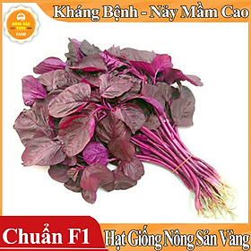 Hạt giống Rau Dền Đỏ ( Gói 20 Gram ) - Nông Sản Vàng