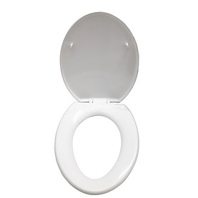 Mua Nắp bàn cầu nhà vệ sinh WC cao cấp