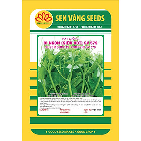 Mua Hạt Giống Bí Siêu Ngọn Gói 10gram Sen Vàng