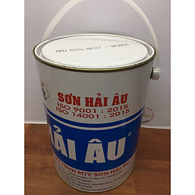 Mua Sơn chịu nhiệt 300 độ màu bạc SK3 Hải Âu 5L