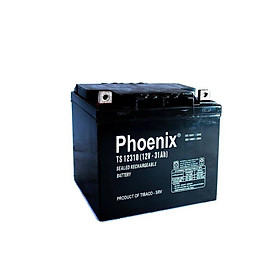 Bình Ắc Quy Khô PHOENIX TS12310 12V-31AH Dùng Cho UPS, Loa Kéo, Lưu Điện