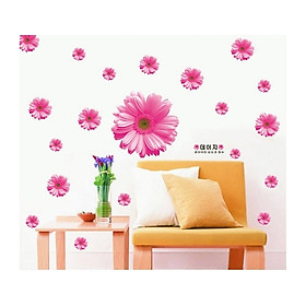 Decal Dán Tường Hoa Đồng Tiền Hồng PK109