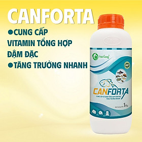 CANFORTA - Cung cấp vitamin hỗn hợp đậm đặc, tăng trọng nhanh