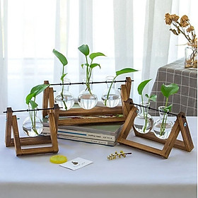 Mua Bình Hoa Thủy Tinh Hình Tròn Có Gắn Khung Gỗ Trồng Cây Thủy Sinh  Cắm Hoa  Trang Trí Để Bàn