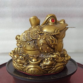 Mua Cóc cõng vàng ngậm tiền phong thủy bày thần tài (ông cóc ngậm tiền) cóc thiềm thừ cõng vàng bằng đồng- Đồ Đồng Nguyệt Ánh