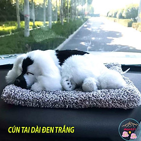 Mua Mèo vằn xám đế hồng kẻ caro thú bông than hoạt tính trang trí ô tô phòng làm việc bàn học tập khử khuẩn không khí