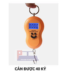 Mua Cân treo mini cân được trọng lượng 50 ký
