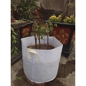 10 bịch vải trồng cây size 35x30 cm 90 nghìn