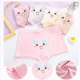 Quần chip đùi cho bé gái size 16-38kg chất cotton mềm mịn mát
