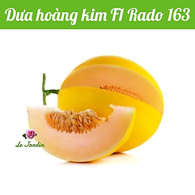 Hạt giống Dưa Hoàng Kim RD163 (5 hạt) - Trồng quanh năm