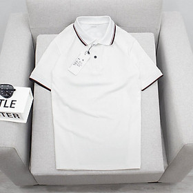 Áo Thun nam Polo Bảo Bảo Store chất thun cotton cá sấu hàng xuất khẩu form Quốc tế có bigsize - Form rộng giảm 2 size - L70-80KG - Trắng