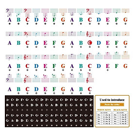 Transparent Keyboard Sticker Removable  for 88/61/54/49 Key Beginner