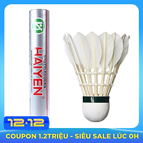 Hộp Cầu Lông 12 Trái Hải Yến ống Bạc - Hàng chính hãng