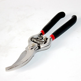 Mua Kéo Cắt Tỉa Cành Cây Lưỡi Cong Dài 20cm Có Lò Xo