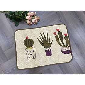 Mua Thảm chùi chân - xương rồng - viền nâu - TCC55301