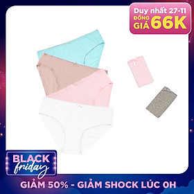 Combo 06 quần lót nữ cotton Vera