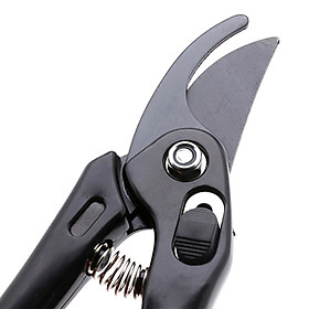 Kéo cắt tỉa cây nội địa Nhật Bản