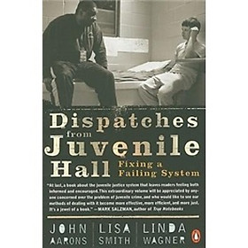 Dispatches from Juvenile Hall