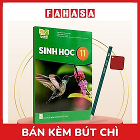 Sách Giáo Khoa Sinh Học 11 (Kết Nối) (Chuẩn) - Kèm Bút Chì