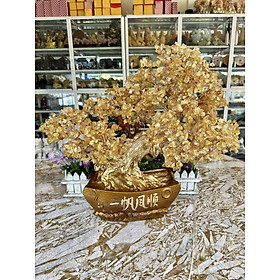 Mua Cây tài lộc bonsai phong thủy đá thạch anh - Cao 50 cm