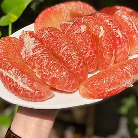 Bưởi hồng da xanh Hoàng Quý 868 - sz 1.2-1.4kg