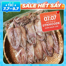 KHÔ MỰC NHA TRANG (250gr) - MỰC CÂU TỰ NHIÊN - SIZE NHỎ (Khoảng 20 con/250gr)