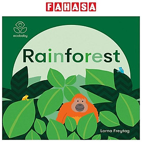 Sách ngoại văn: Eco Baby - Rainforests - Grantham Book Services