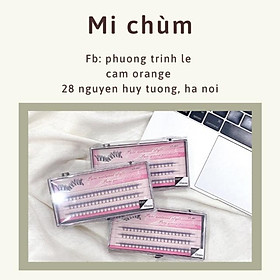 Mi chùm nối mi- dụng cụ nối mi