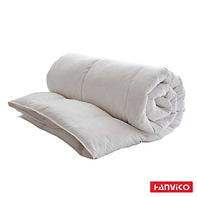 Ruột chăn hè Hanvico lông vũ tự nhiên kháng khuẩn (200x220)