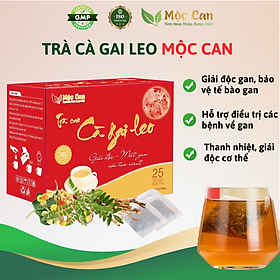 Trà Cà Gai Leo Mộc Can, Trà túi lọc mát gan giải độc gan hạn chế tổn thương tế bào gan 1 hộp 15 túi lọc