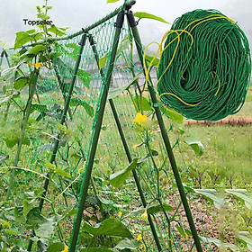 Mua Lưới giàn dây leo Rosa có viền biên  đóng khoen (2m x 3m)-DPT