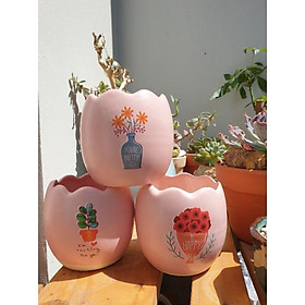 Chậu trồng cây hình trứng dễ thương