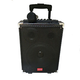Mua Loa kéo hát Karaoke di động Vỏ gỗ Tcare Z8  Kèm 01 Micro - Hàng chính Hãng