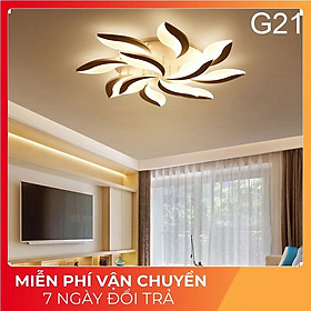 Đèn ốp trần trang trí phòng khách phòng ngủ G21 có 3 chế độ sáng có điều khiển tăng chỉnh ánh sáng - Mã 2013/12