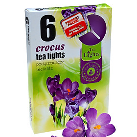 Hộp 6 nến thơm tinh dầu Tealight Admit Crocus QT026104 - hoa nghệ tây