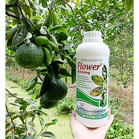 PHÂN BÓN KÍCH THÍCH RA HOA, GIÚP CÂY RA HOA ĐỀU VÀ ĐỒNG LOẠT - FLOWER KÍCH BÔNG 1L